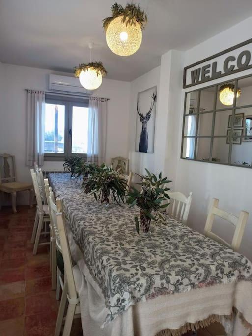 Casa Rural Olivar De Albarizas Fernancaballero Zewnętrze zdjęcie